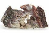 Polished Sicat Plume Agate Section - Cady Mountains, California #184956-2